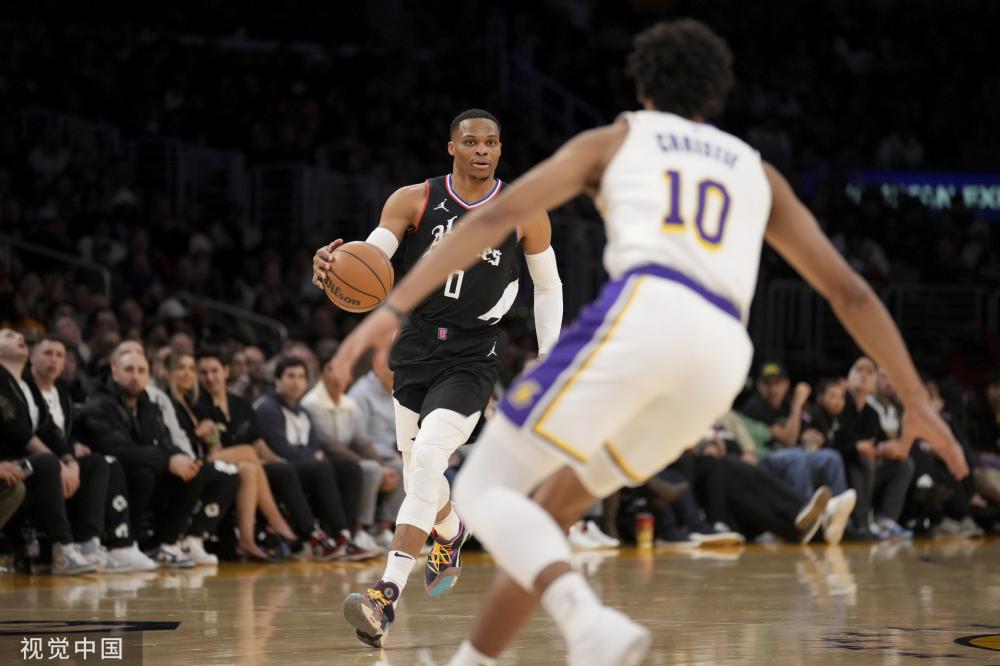 经过数年培 经过数年培